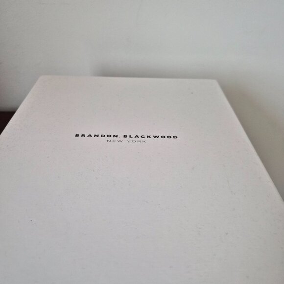 Brand New Brandon Blackwood Silver Slim Trunk Bag - Picture 3 of 9